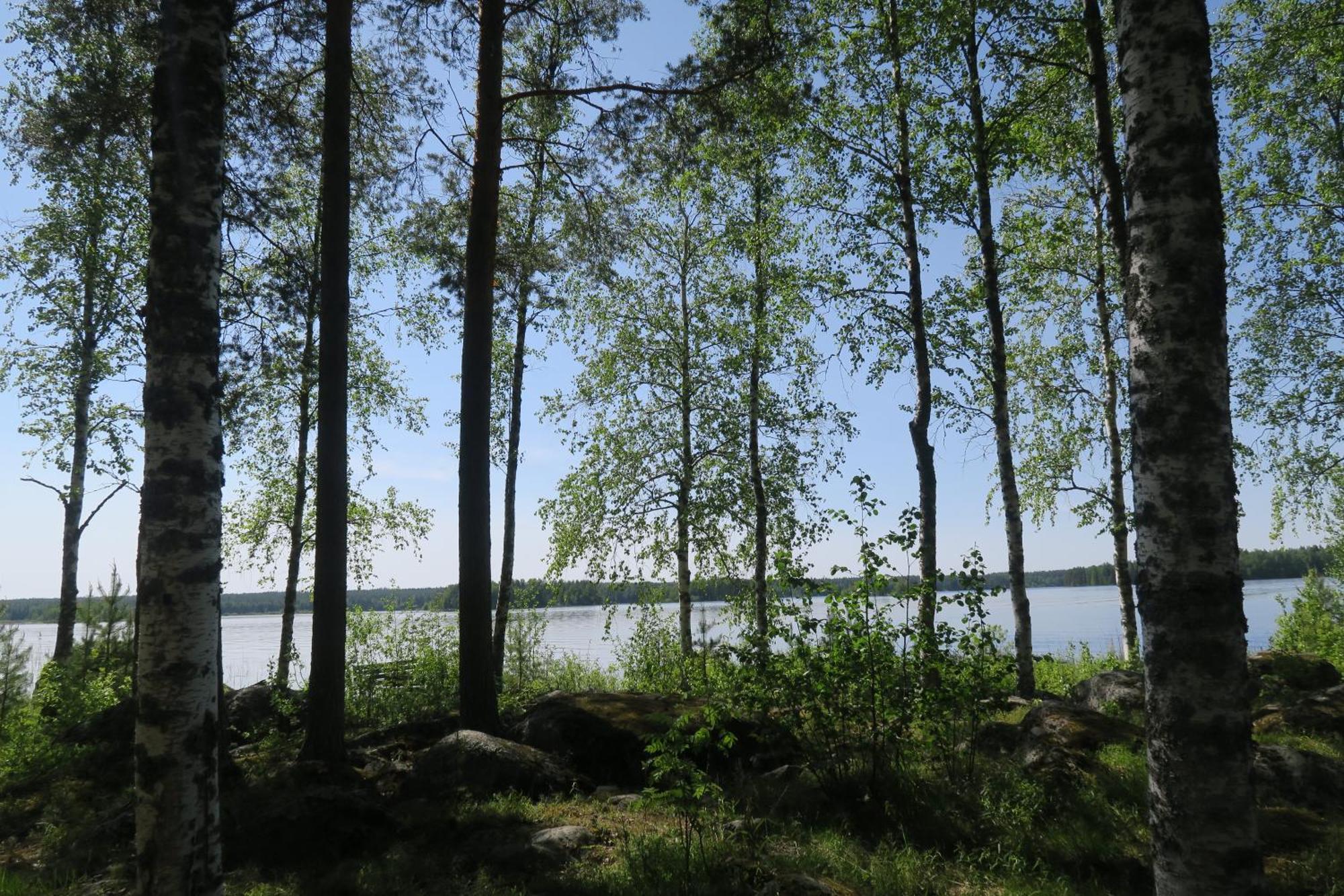 Marjoniemi Camping Hiidenniemi Dış mekan fotoğraf